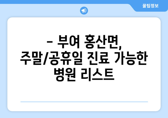 충청남도 부여군 홍산면 일요일 휴일 공휴일 야간 진료병원 리스트