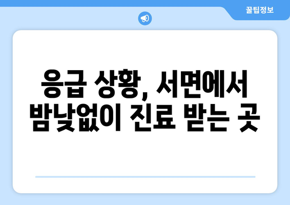 경상북도 울릉군 서면 일요일 휴일 공휴일 야간 진료병원 리스트