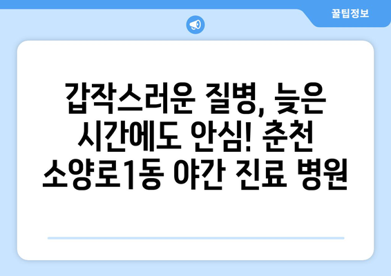 강원도 춘천시 소양로1동 일요일 휴일 공휴일 야간 진료병원 리스트