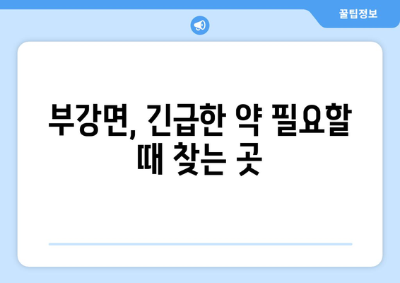 세종시 세종특별자치시 부강면 24시간 토요일 일요일 휴일 공휴일 야간 약국