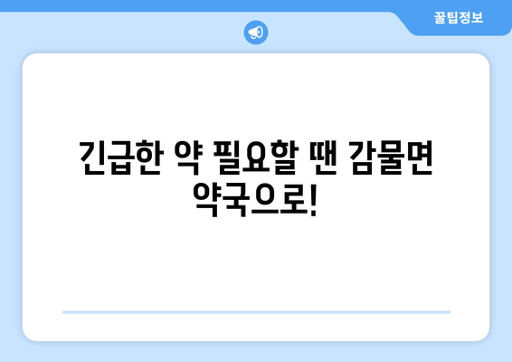 충청북도 괴산군 감물면 24시간 토요일 일요일 휴일 공휴일 야간 약국