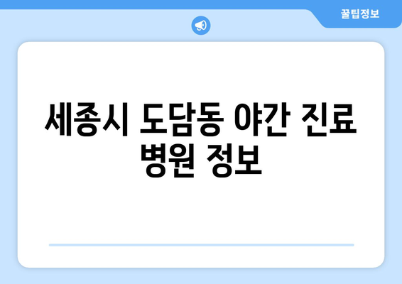 세종시 세종특별자치시 도담동 일요일 휴일 공휴일 야간 진료병원 리스트