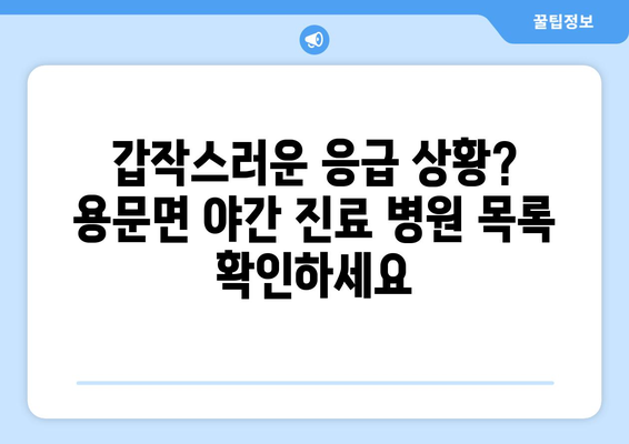 경상북도 예천군 용문면 일요일 휴일 공휴일 야간 진료병원 리스트