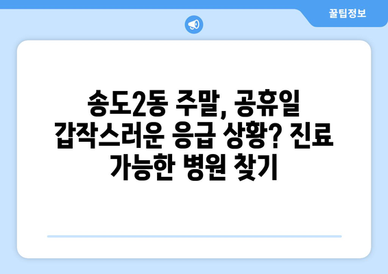 인천시 연수구 송도2동 일요일 휴일 공휴일 야간 진료병원 리스트