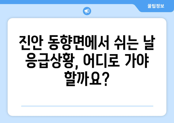 전라북도 진안군 동향면 일요일 휴일 공휴일 야간 진료병원 리스트