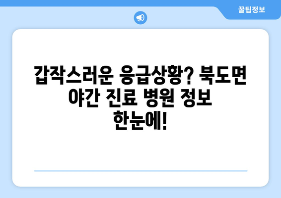 인천시 옹진군 북도면 일요일 휴일 공휴일 야간 진료병원 리스트