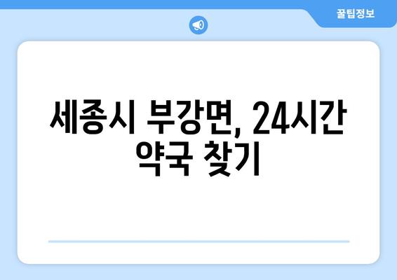 세종시 세종특별자치시 부강면 24시간 토요일 일요일 휴일 공휴일 야간 약국