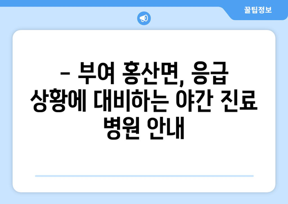 충청남도 부여군 홍산면 일요일 휴일 공휴일 야간 진료병원 리스트