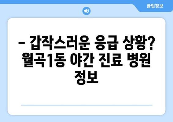 광주시 광산구 월곡1동 일요일 휴일 공휴일 야간 진료병원 리스트