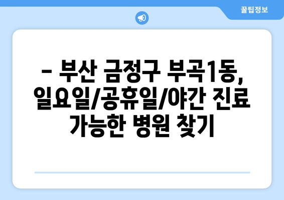 부산시 금정구 부곡1동 일요일 휴일 공휴일 야간 진료병원 리스트