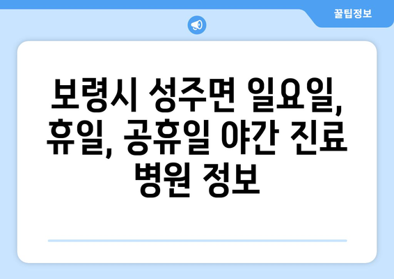 충청남도 보령시 성주면 일요일 휴일 공휴일 야간 진료병원 리스트