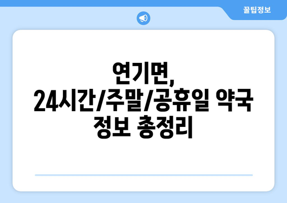 세종시 세종특별자치시 연기면 24시간 토요일 일요일 휴일 공휴일 야간 약국