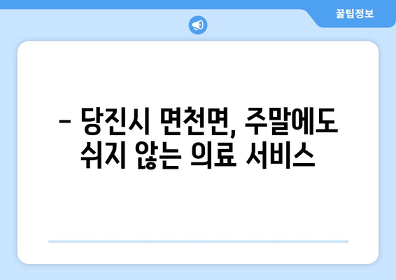 충청남도 당진시 면천면 일요일 휴일 공휴일 야간 진료병원 리스트