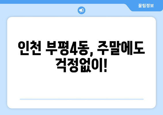 인천시 부평구 부평4동 일요일 휴일 공휴일 야간 진료병원 리스트