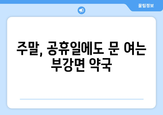 세종시 세종특별자치시 부강면 24시간 토요일 일요일 휴일 공휴일 야간 약국