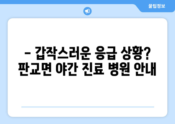 충청남도 서천군 판교면 일요일 휴일 공휴일 야간 진료병원 리스트