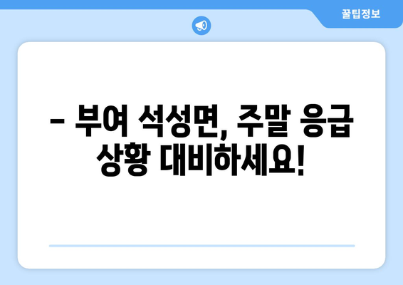 충청남도 부여군 석성면 일요일 휴일 공휴일 야간 진료병원 리스트