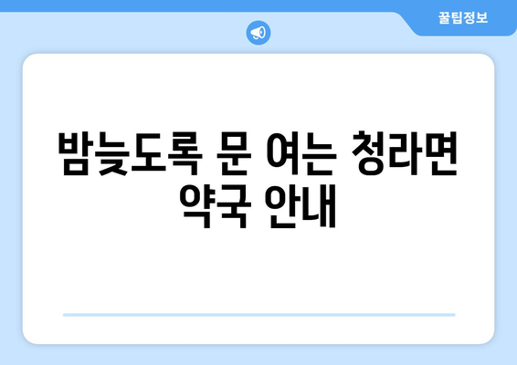 충청남도 보령시 청라면 24시간 토요일 일요일 휴일 공휴일 야간 약국