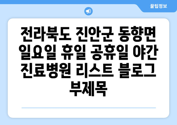 전라북도 진안군 동향면 일요일 휴일 공휴일 야간 진료병원 리스트