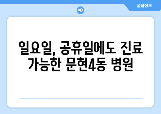 부산시 남구 문현4동 일요일 휴일 공휴일 야간 진료병원 리스트