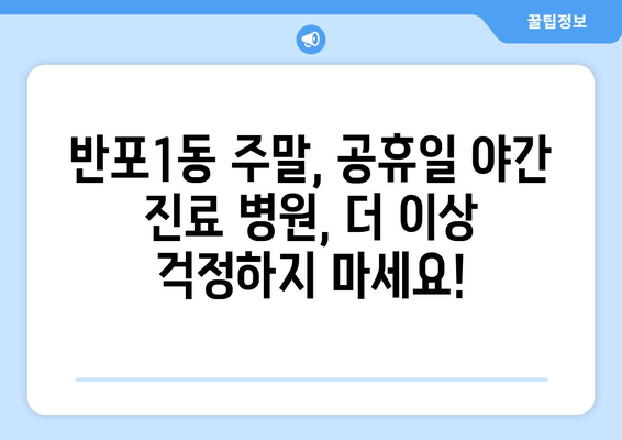 서울시 서초구 반포1동 일요일 휴일 공휴일 야간 진료병원 리스트