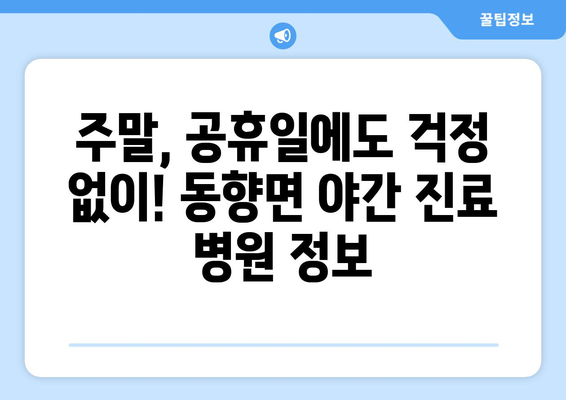 전라북도 진안군 동향면 일요일 휴일 공휴일 야간 진료병원 리스트