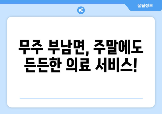 전라북도 무주군 부남면 일요일 휴일 공휴일 야간 진료병원 리스트