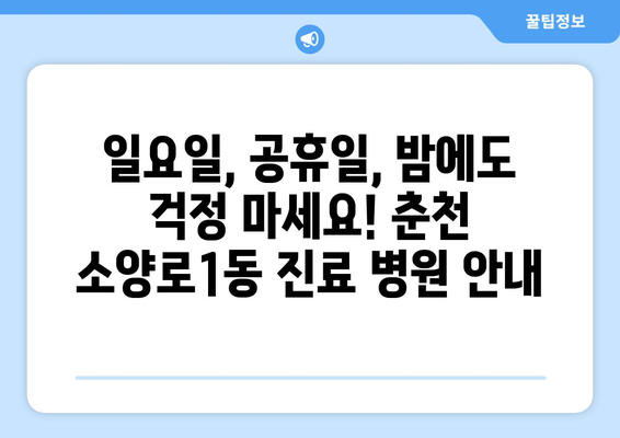 강원도 춘천시 소양로1동 일요일 휴일 공휴일 야간 진료병원 리스트