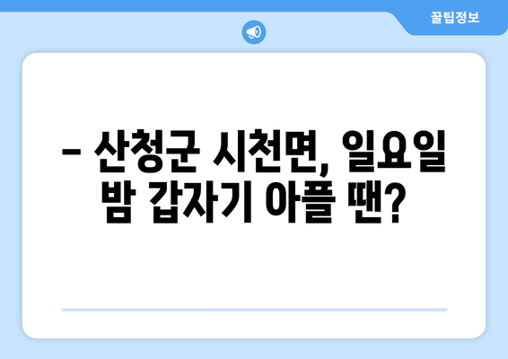 경상남도 산청군 시천면 일요일 휴일 공휴일 야간 진료병원 리스트