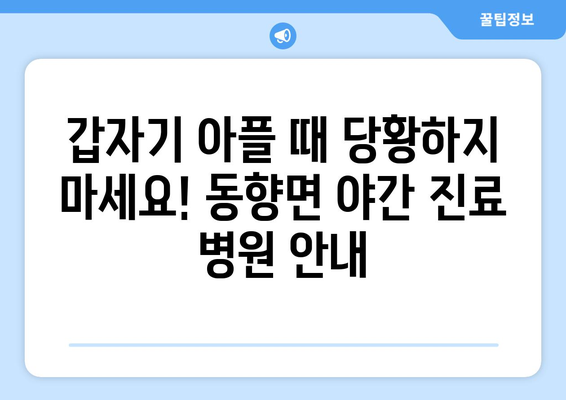 전라북도 진안군 동향면 일요일 휴일 공휴일 야간 진료병원 리스트