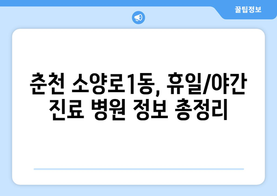 강원도 춘천시 소양로1동 일요일 휴일 공휴일 야간 진료병원 리스트