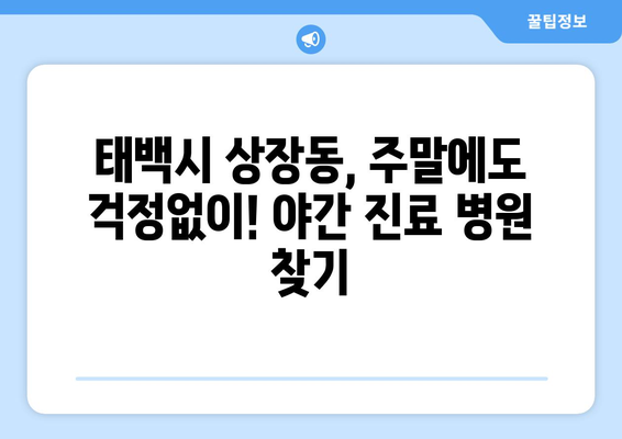 강원도 태백시 상장동 일요일 휴일 공휴일 야간 진료병원 리스트