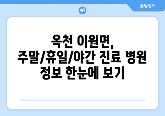 충청북도 옥천군 이원면 일요일 휴일 공휴일 야간 진료병원 리스트