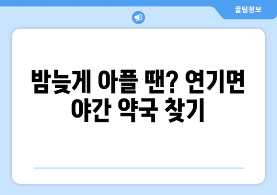 세종시 세종특별자치시 연기면 24시간 토요일 일요일 휴일 공휴일 야간 약국