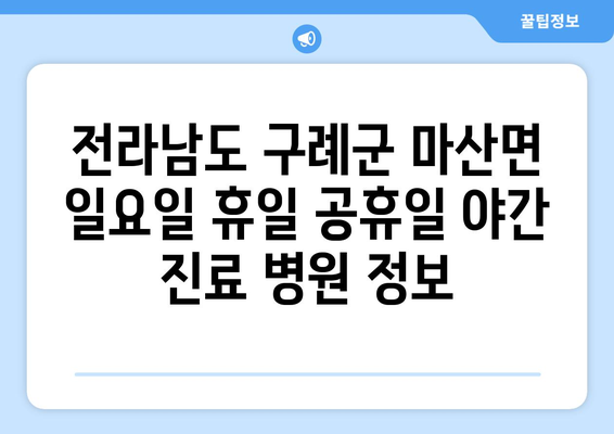 전라남도 구례군 마산면 일요일 휴일 공휴일 야간 진료병원 리스트