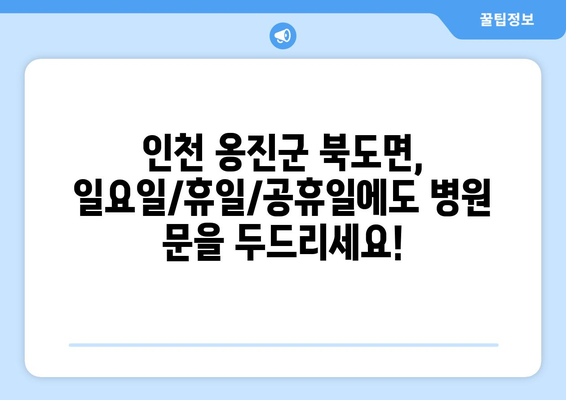 인천시 옹진군 북도면 일요일 휴일 공휴일 야간 진료병원 리스트