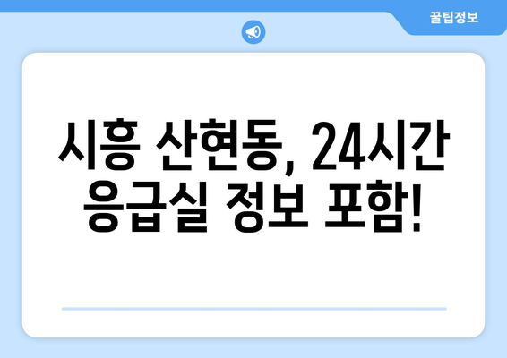 경기도 시흥시 산현동 일요일 휴일 공휴일 야간 진료병원 리스트