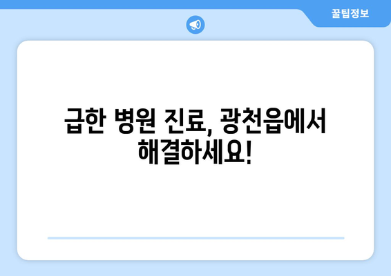 충청남도 홍성군 광천읍 일요일 휴일 공휴일 야간 진료병원 리스트