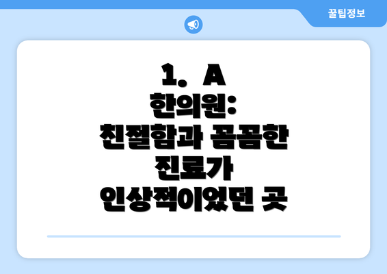 1.  A 한의원:  친절함과 꼼꼼한 진료가 인상적이었던 곳