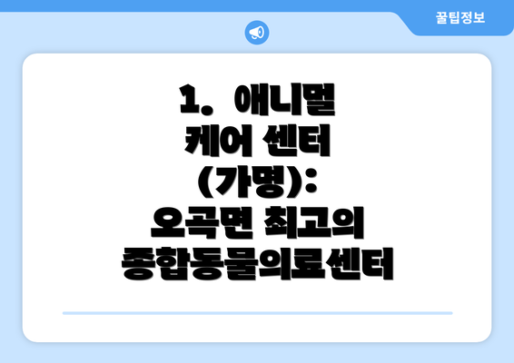 1.  애니멀 케어 센터 (가명):  오곡면 최고의 종합동물의료센터