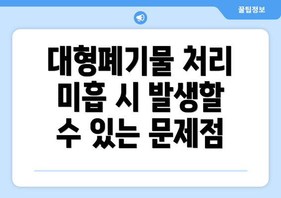 대형폐기물 처리 미흡 시 발생할 수 있는 문제점