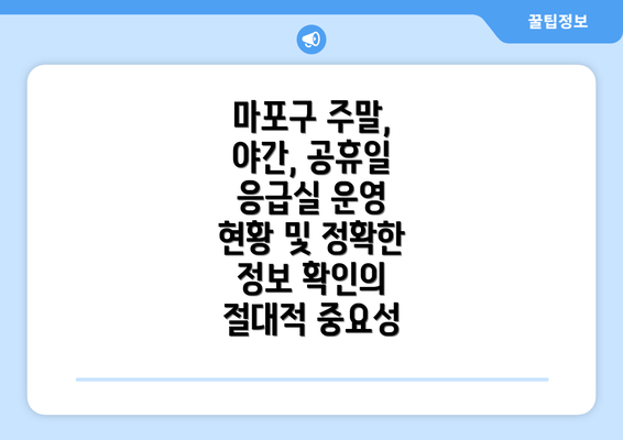 마포구 주말, 야간, 공휴일 응급실 운영 현황 및 정확한 정보 확인의 절대적 중요성