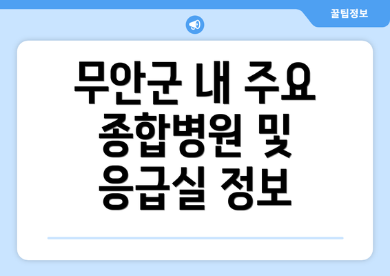 무안군 내 주요 종합병원 및 응급실 정보