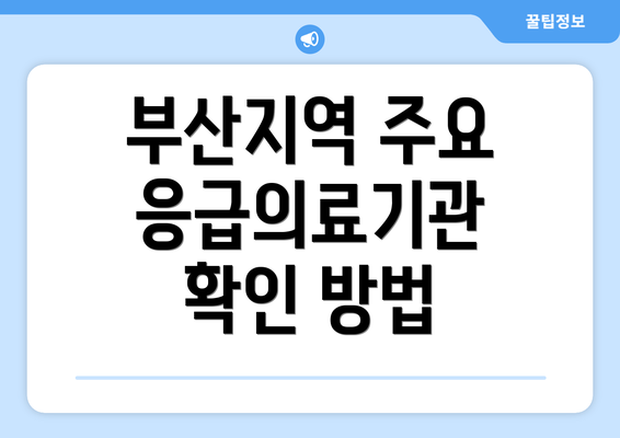 부산지역 주요 응급의료기관 확인 방법