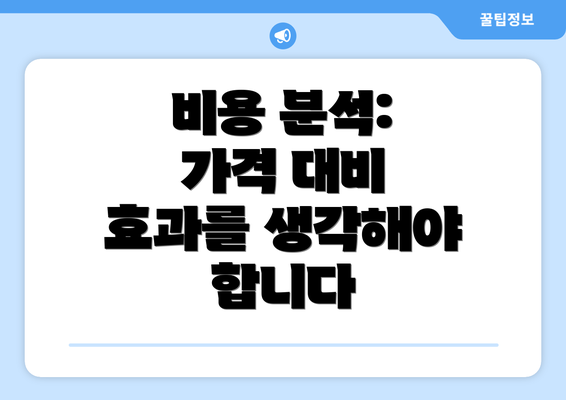 비용 분석:  가격 대비 효과를 생각해야 합니다