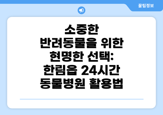 소중한 반려동물을 위한 현명한 선택:  한림읍 24시간 동물병원 활용법