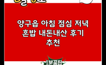 양구읍 아침 점심 저녁 혼밥 내돈내산 후기 추천