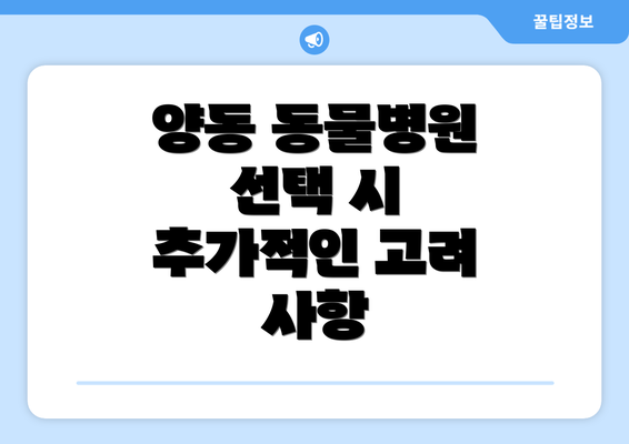 양동 동물병원 선택 시 추가적인 고려 사항