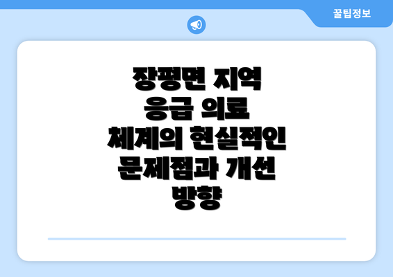 장평면 지역 응급 의료 체계의 현실적인 문제점과 개선 방향