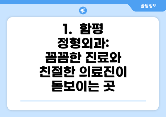 1.  함평 정형외과: 꼼꼼한 진료와 친절한 의료진이 돋보이는 곳